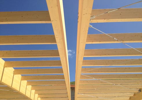 >Particolare dell'intradosso della struttura in legno